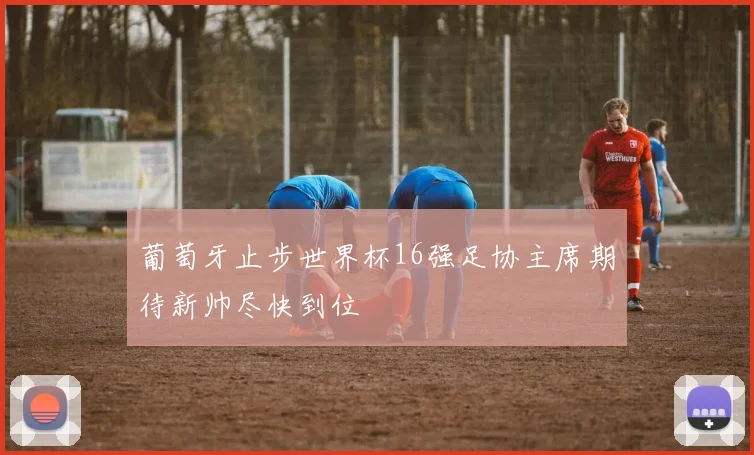 葡萄牙止步世界杯16强足协主席期待新帅尽快到位